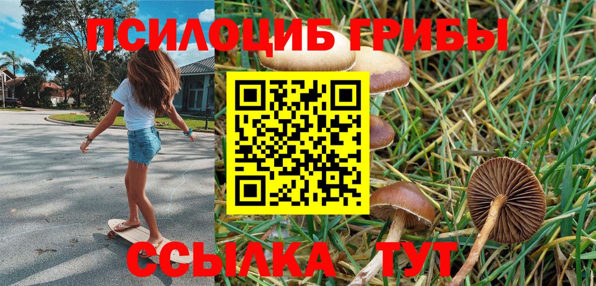 Новочеркасск  Псилоцибиновые грибы Cubensis  Вход с VPN 