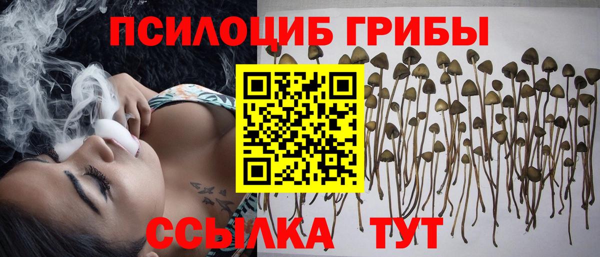 Псилоцибиновые грибы MAGIC MUSHROOMS Новочеркасск